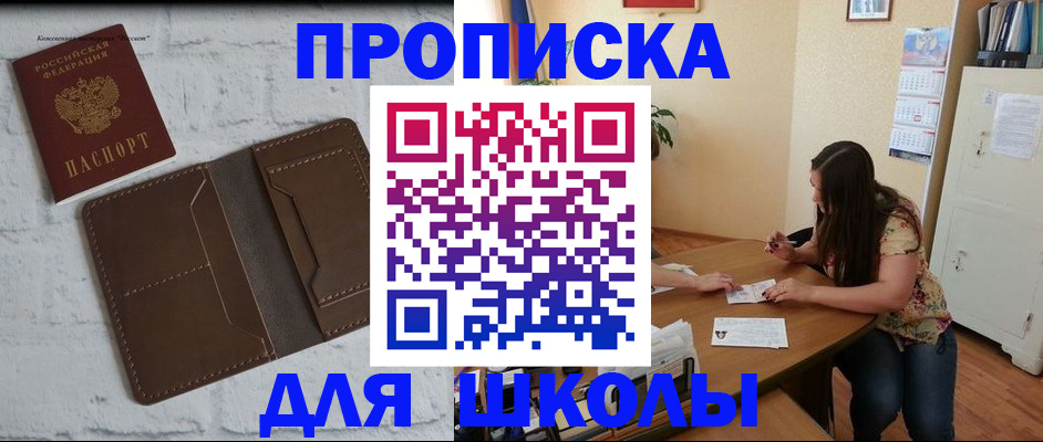 где прописаться в Коле